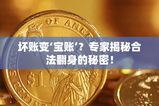 济南坏账变‘宝账’？专家揭秘合法翻身的秘密！