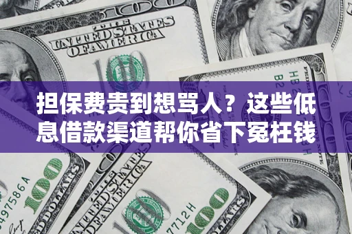 济南担保费贵到想骂人？这些低息借款渠道帮你省下冤枉钱