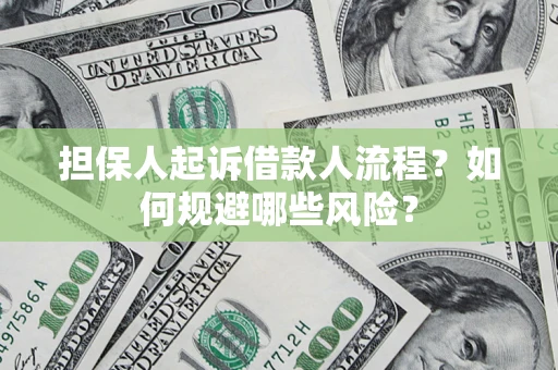 济南担保人起诉借款人流程？如何规避哪些风险？
